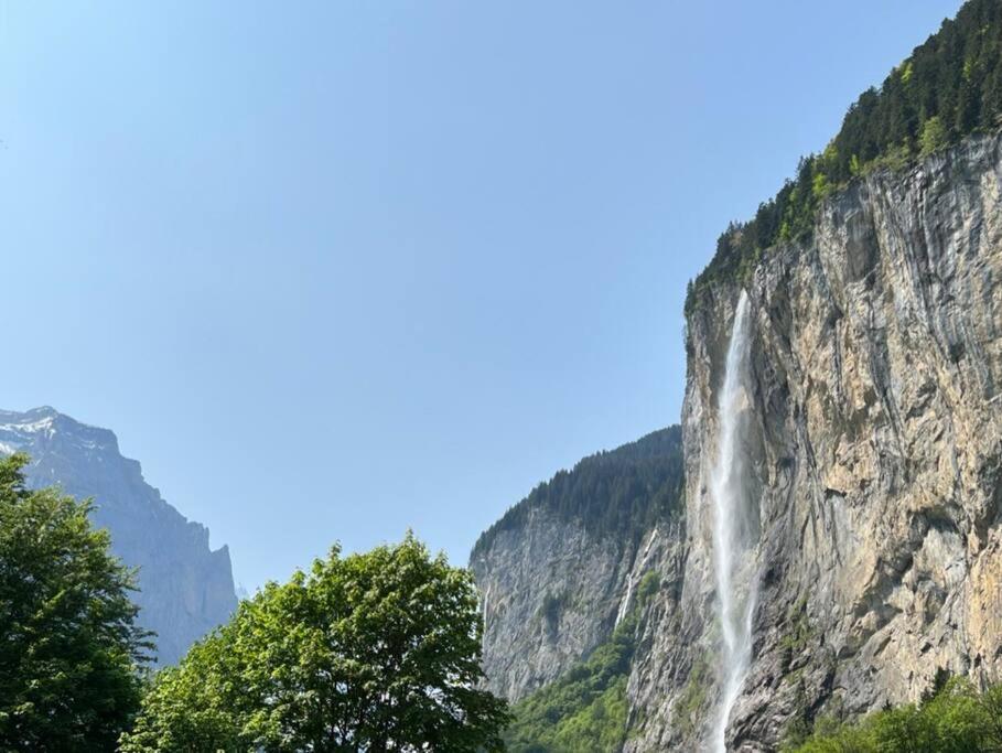 Chalet Maithili Lauterbrunnen -152-Year-Old Majestic Chalet Eksteriør bilde